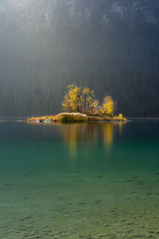 the view of some yellow trees is reflected in the water