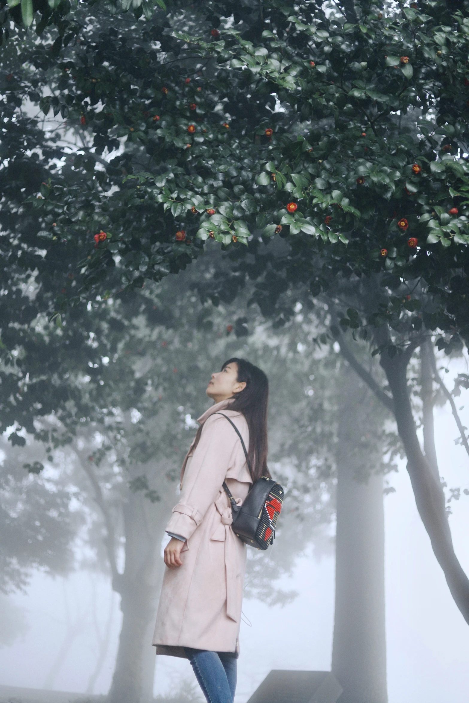 a woman walks in the park, on a foggy day