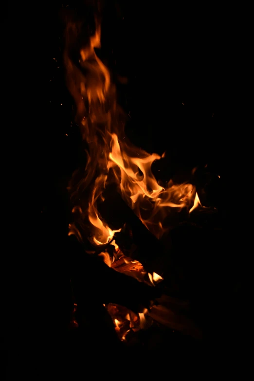 flames in the dark against a black background