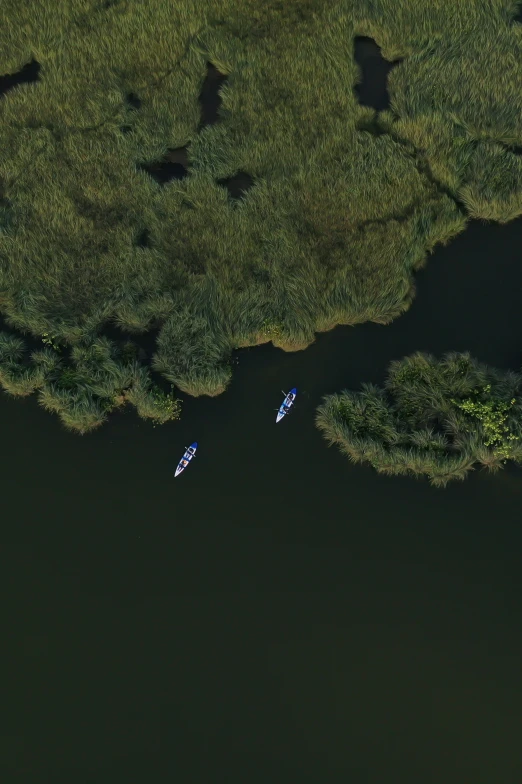 three small boats are in the water surrounded by grass