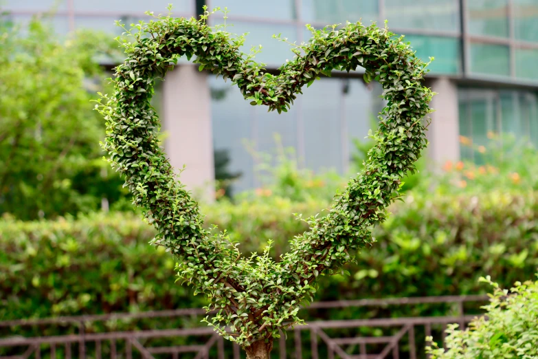 some plants in a heart shape shape and sitting on a bench