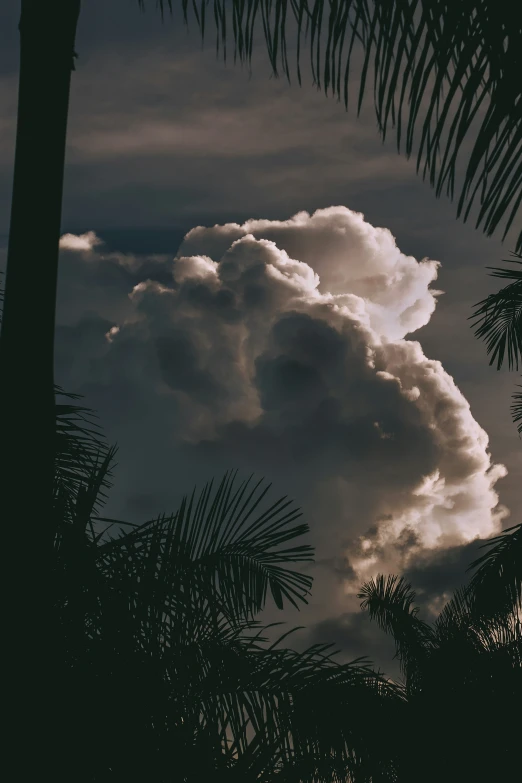 a cloud is rolling in across the sky