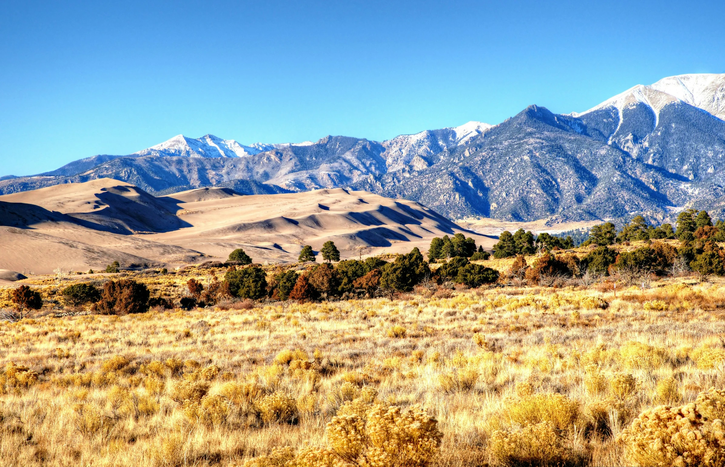 a grassy field that has mountains in the background