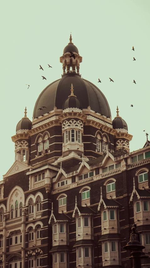 some birds are flying over a building