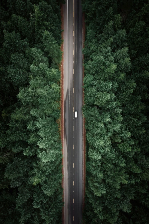 an aerial view of the road leading to the forest