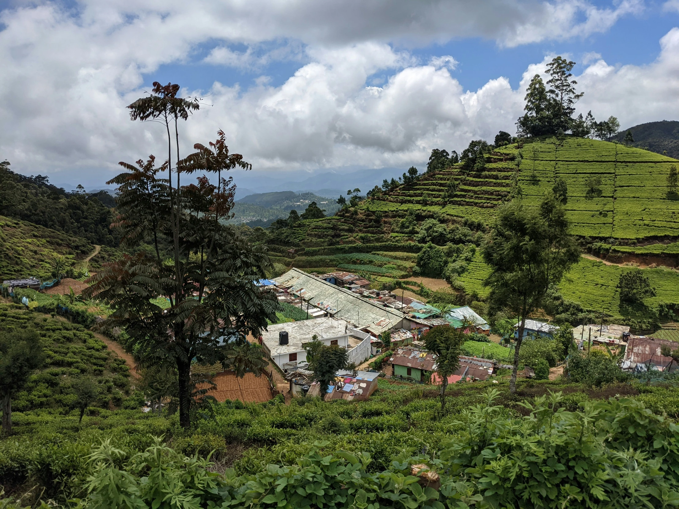 an overview of a lush green countryside with many trees