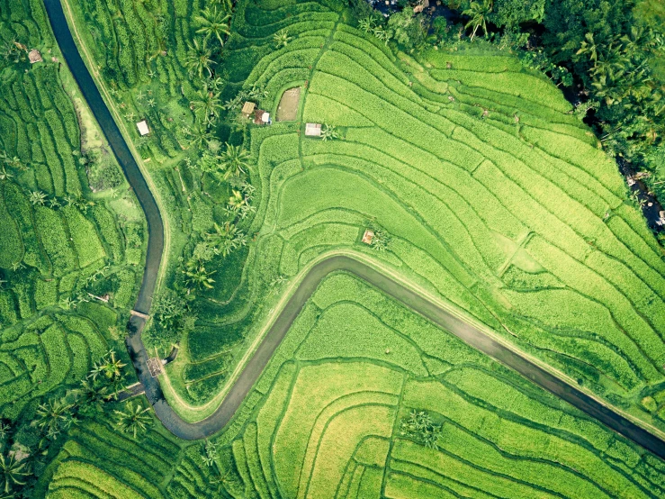 an aerial view of grassy fields and roads