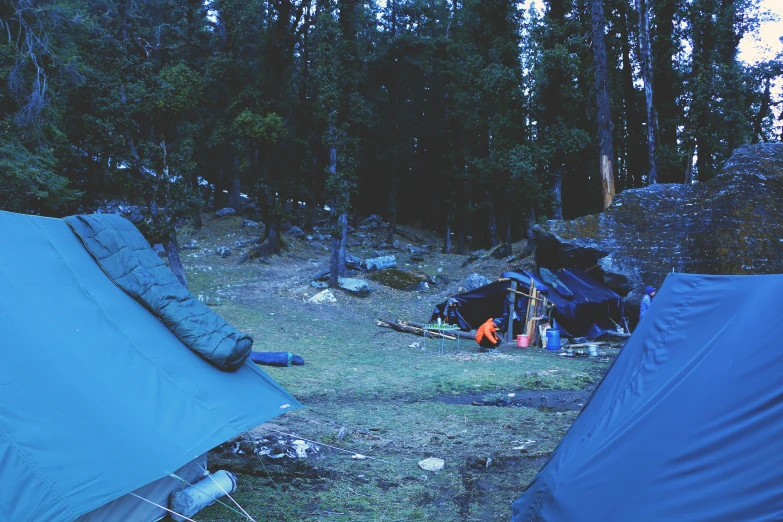 two tents pitched in the grass near a forest