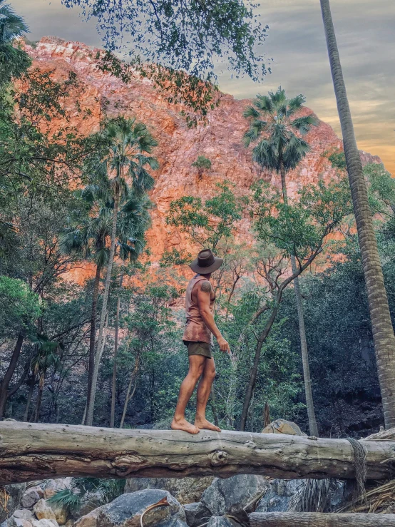 a woman standing on a log in front of palm trees