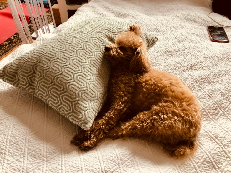 a teddy bear laying on the bed next to a pillow