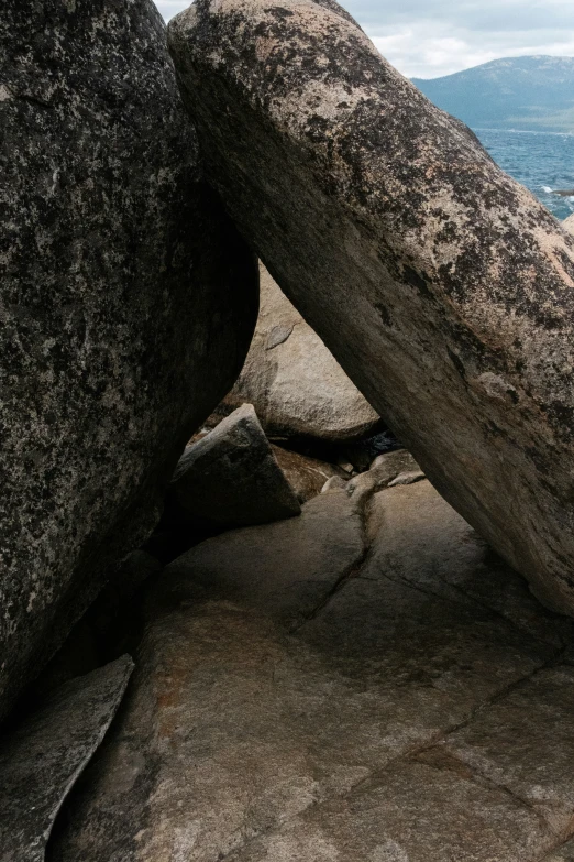 a dog that is sitting on some rocks