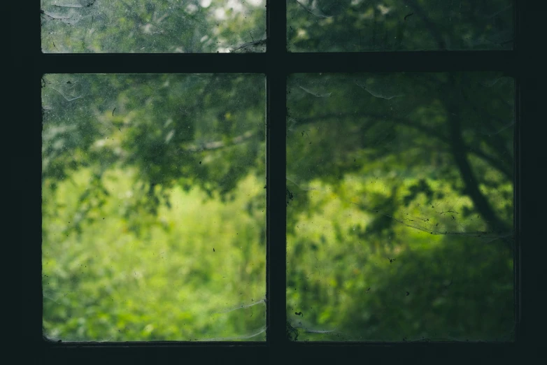 a window view of the green trees outside of it