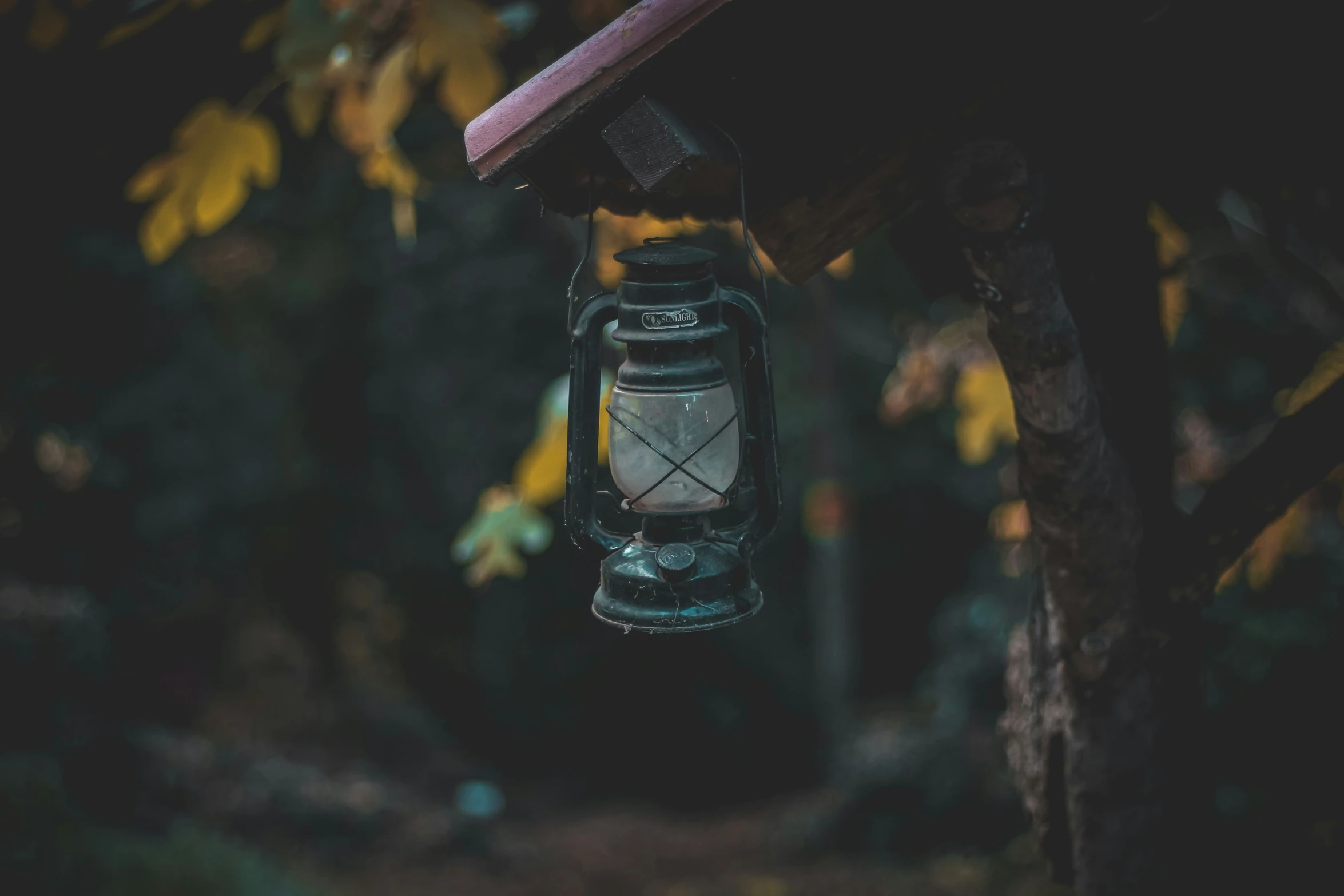 there is a small lantern hanging off of the tree