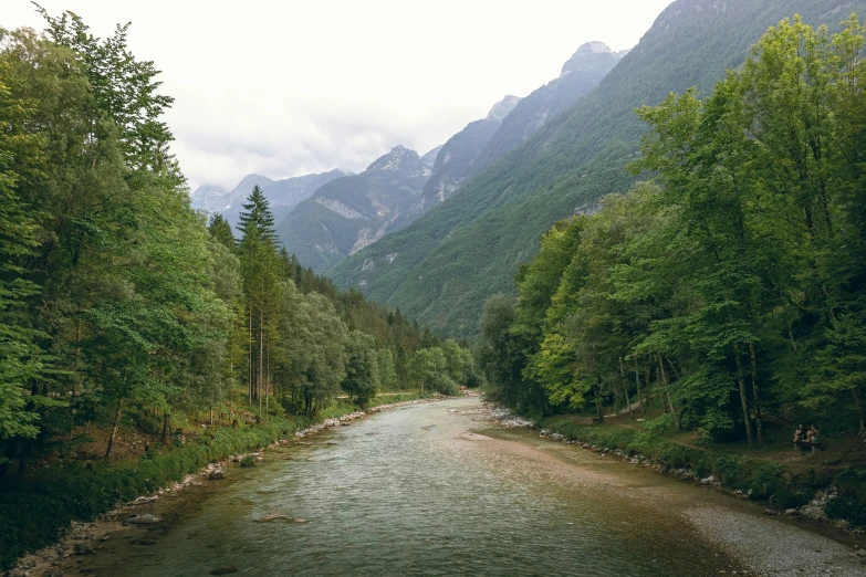 a river runs through the mountainside surrounded by trees