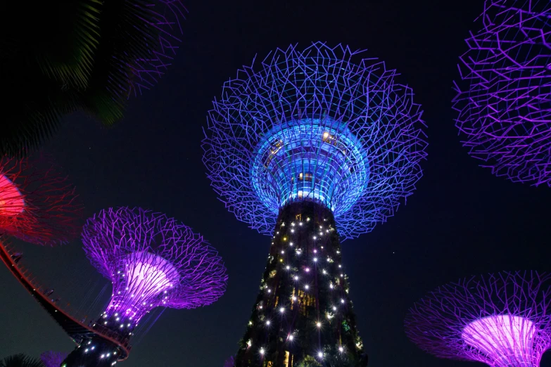 purple flowers glow brightly at night as a full moon rises