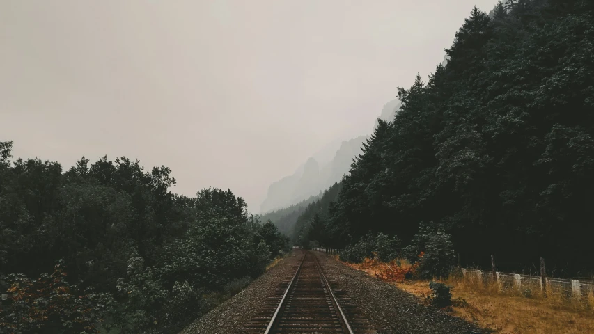 an empty train track near trees and mountains
