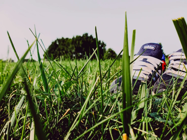 the shoes are laying on the grass in a field