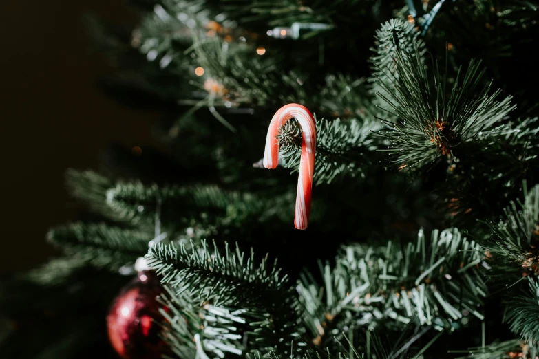 a candy cane shaped like a christmas tree