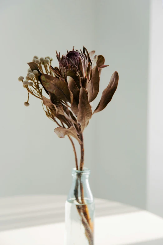 a dried flower in a small glass jar