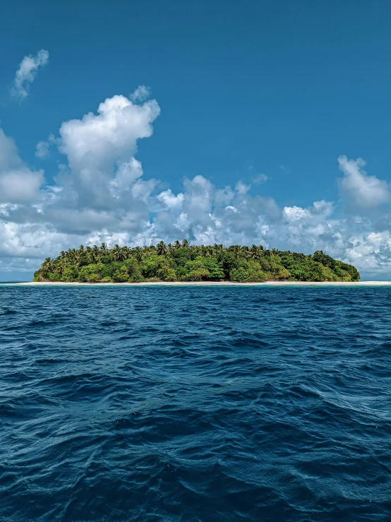 an island in the middle of the ocean with trees