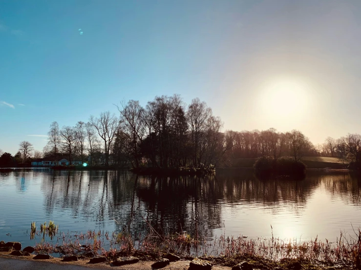 some water trees and the sun is setting