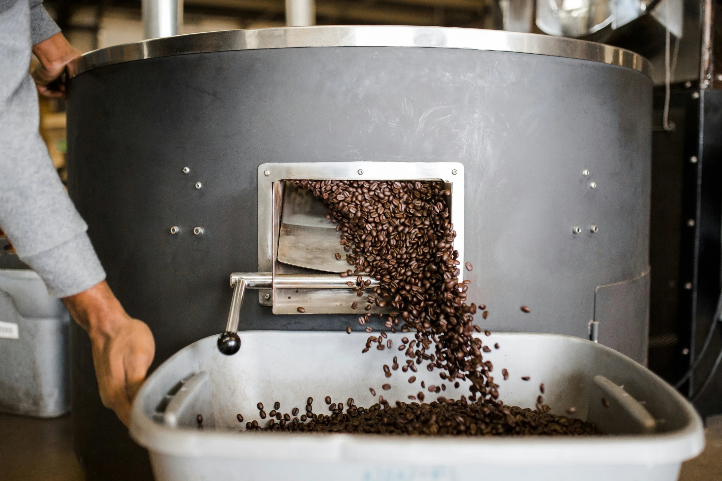 coffee beans being machined into a white container