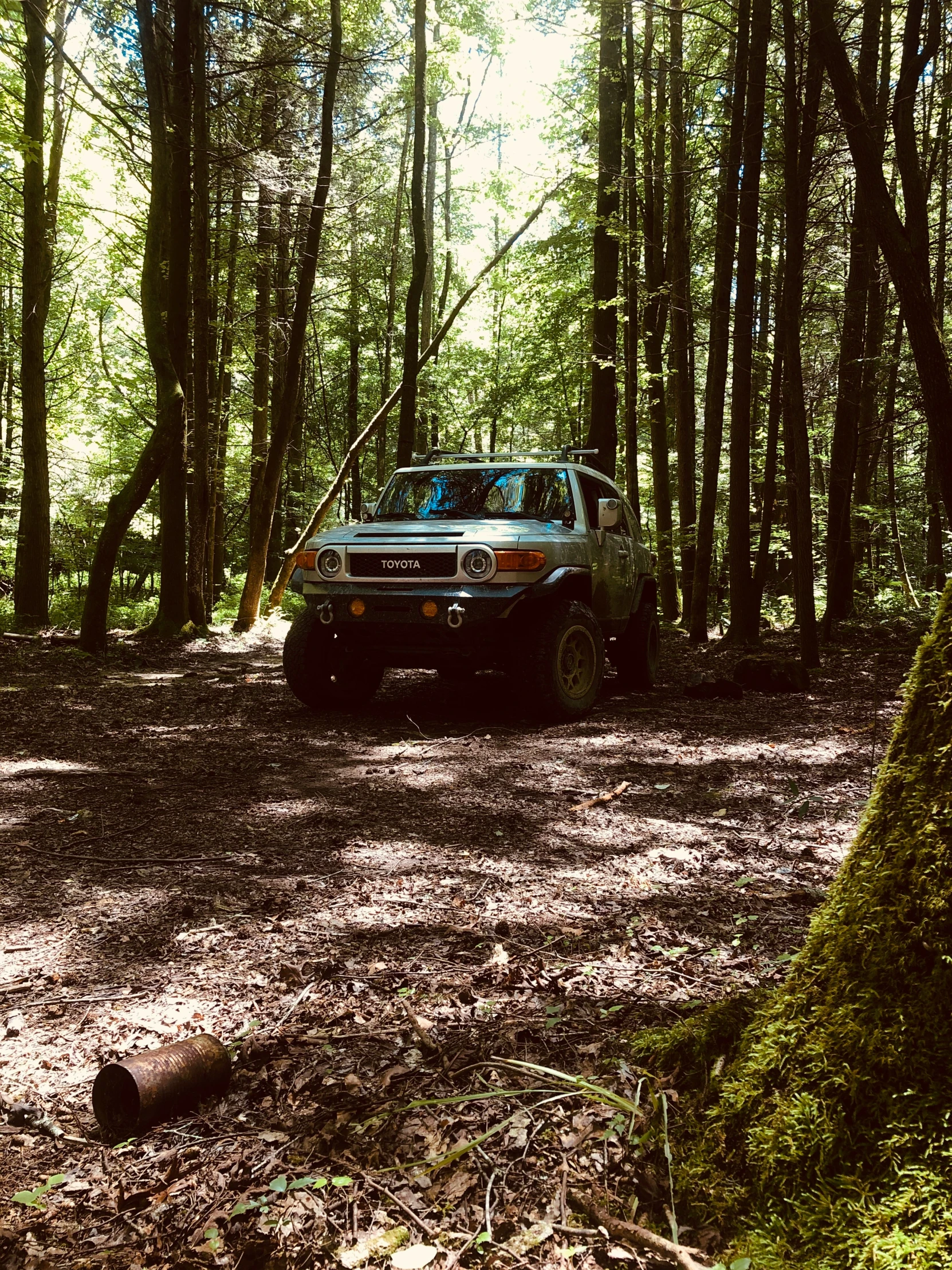 a white car is driving along in the woods