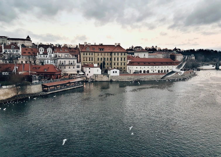 a view of a river with buildings and birds swimming below