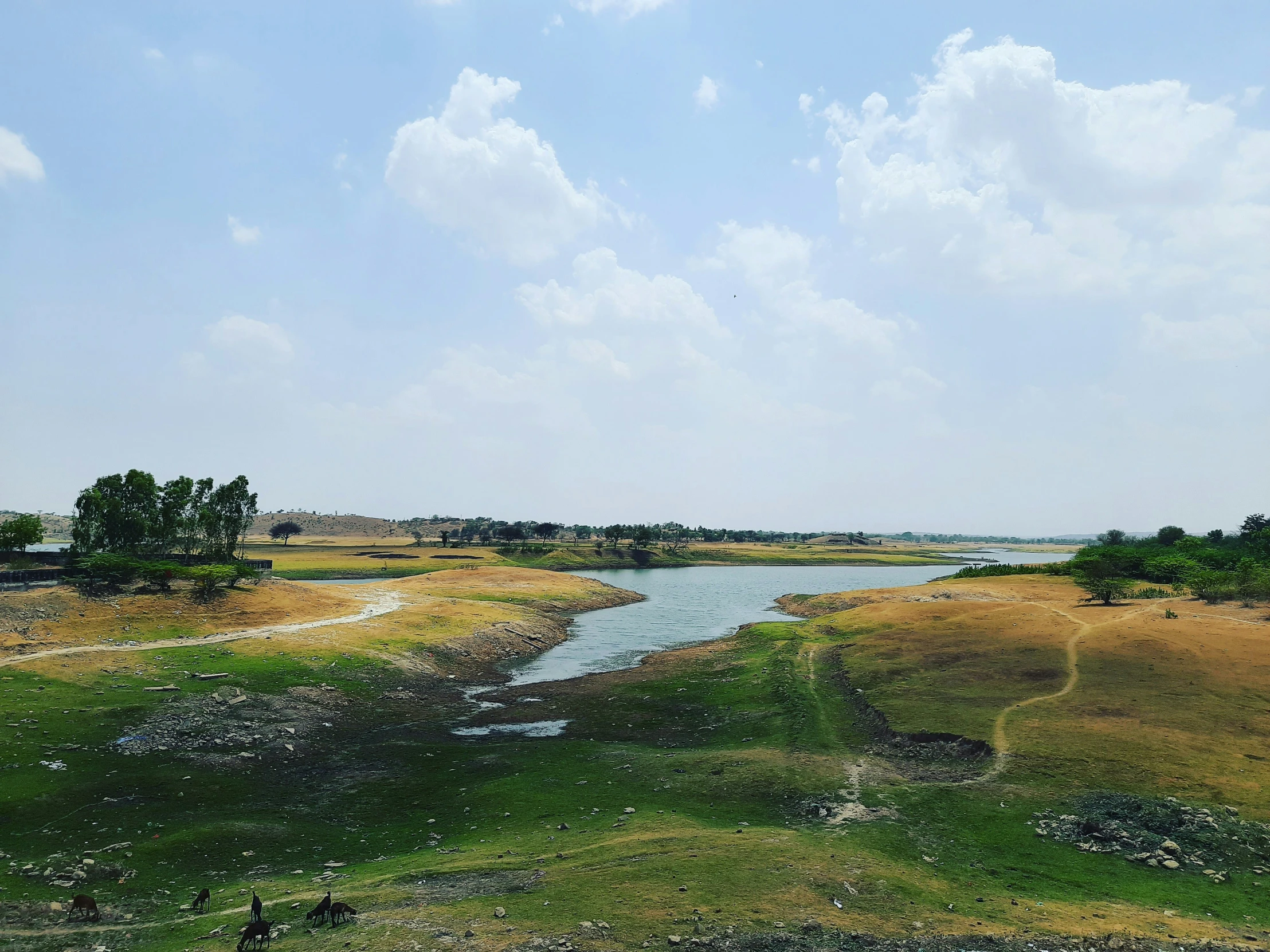 a picture of a field with some water