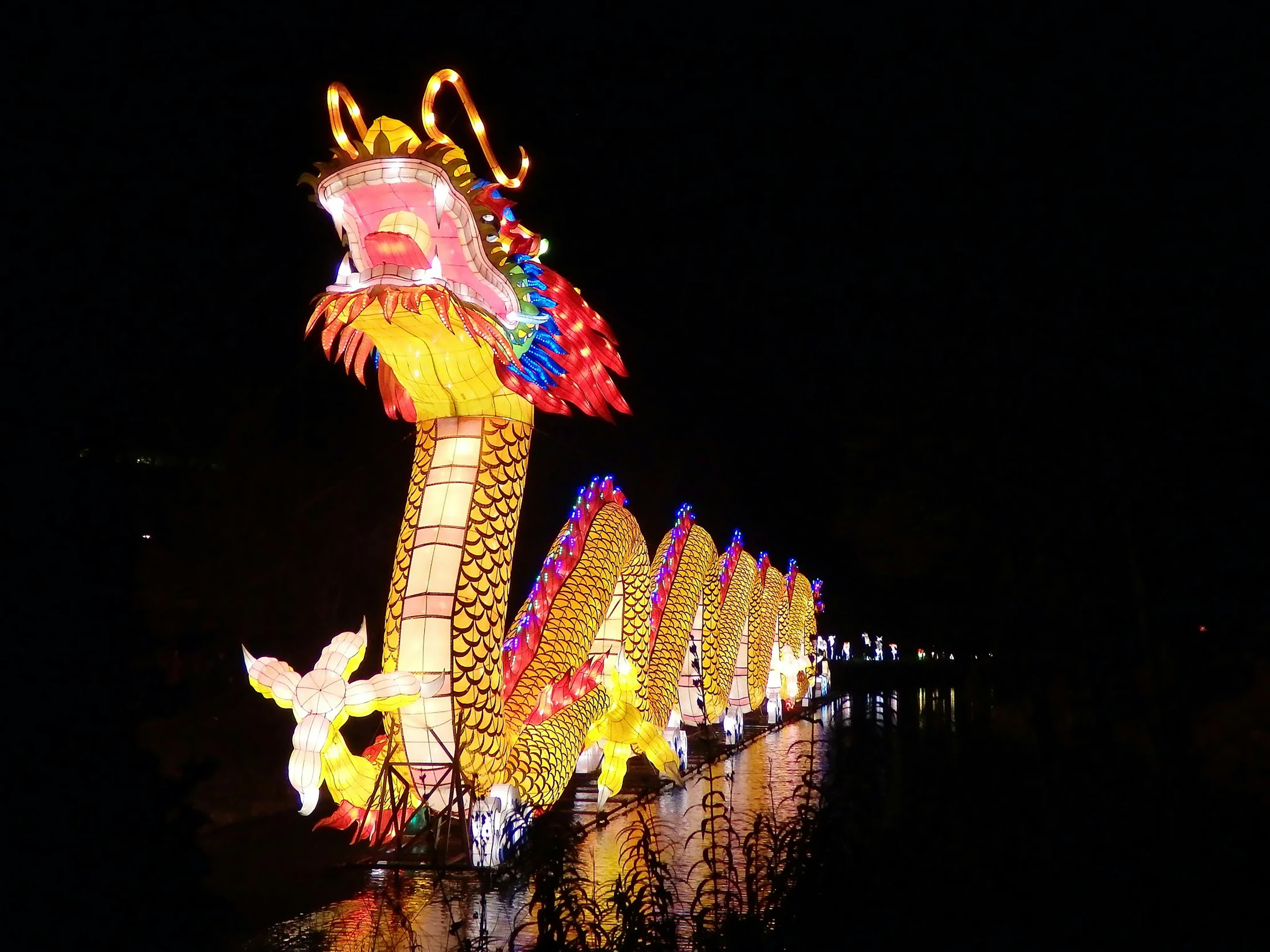 a large dragon decoration sitting above some water