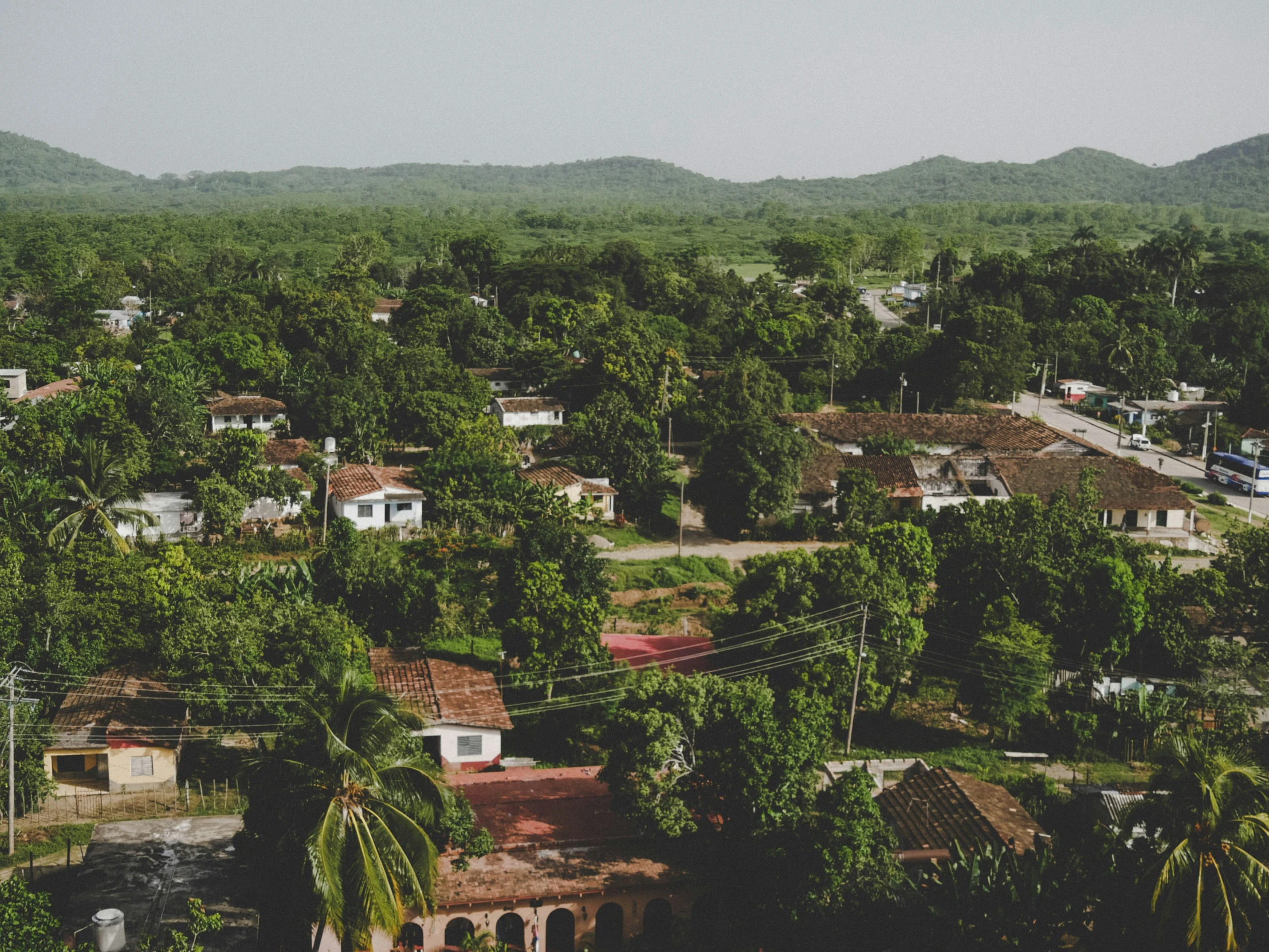 a small village and lots of trees in a valley