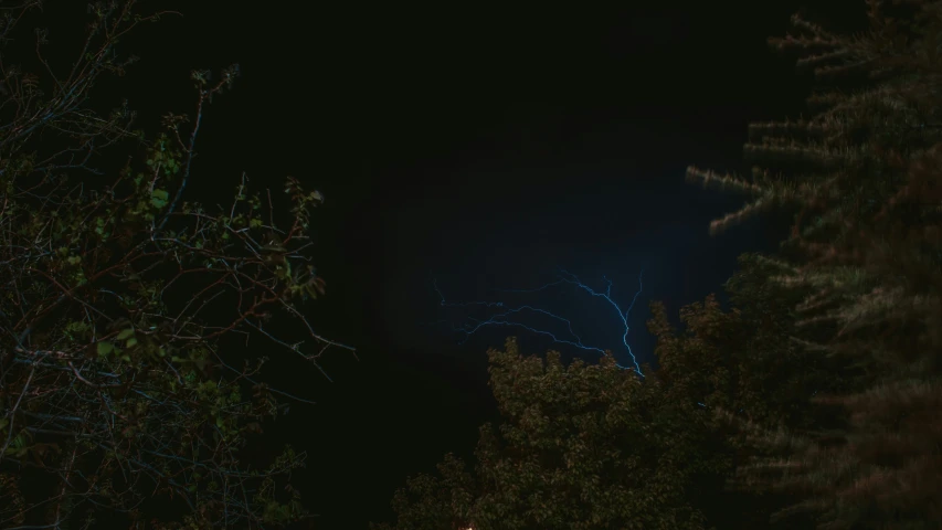 the fireworks are seen from behind some trees