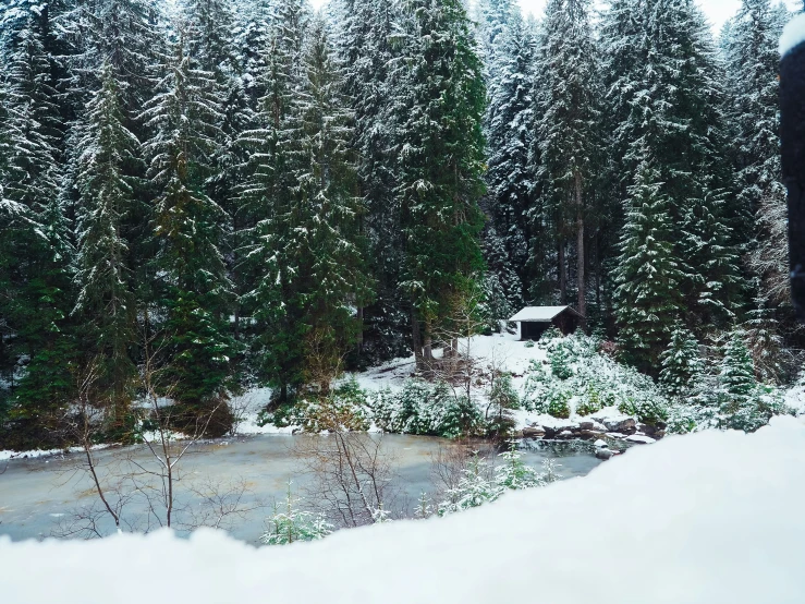 a cabin sitting near a river in a wooded area