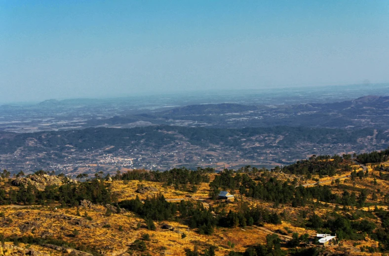 a hill side with some yellow grass and trees on the side