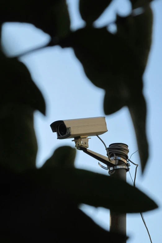 the camera is hanging from a tower on a tree