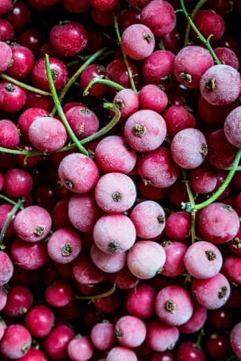 some pink fruits are in the shape of berries