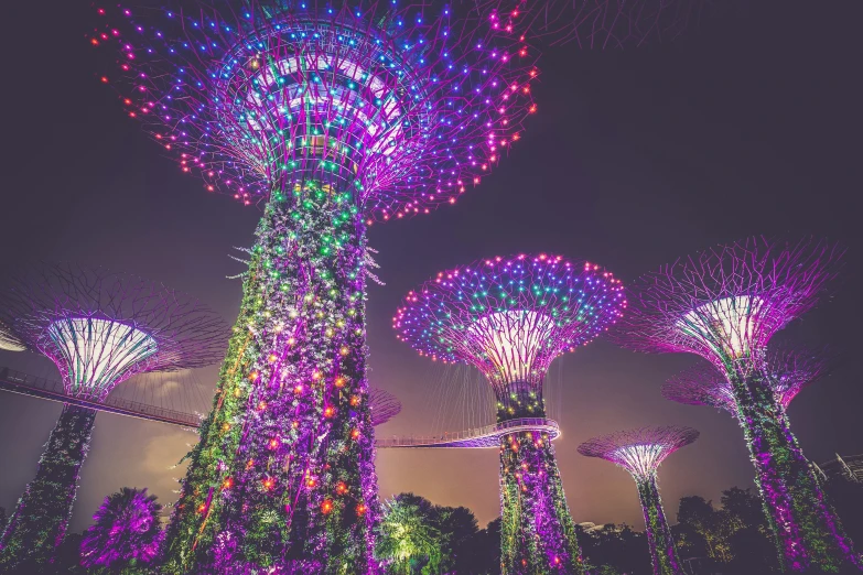 the trees in gardens are covered with lights