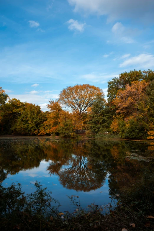 a lake with clear water surrounded by trees