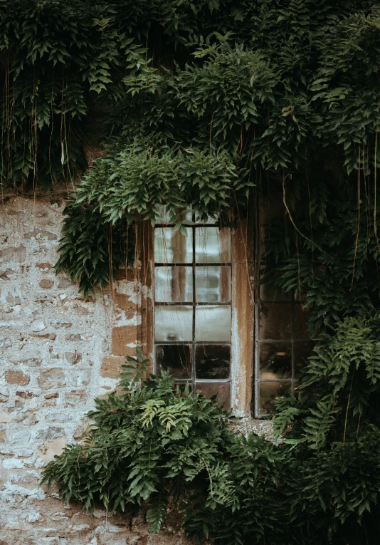 an open window is sitting among greenery on a brick wall