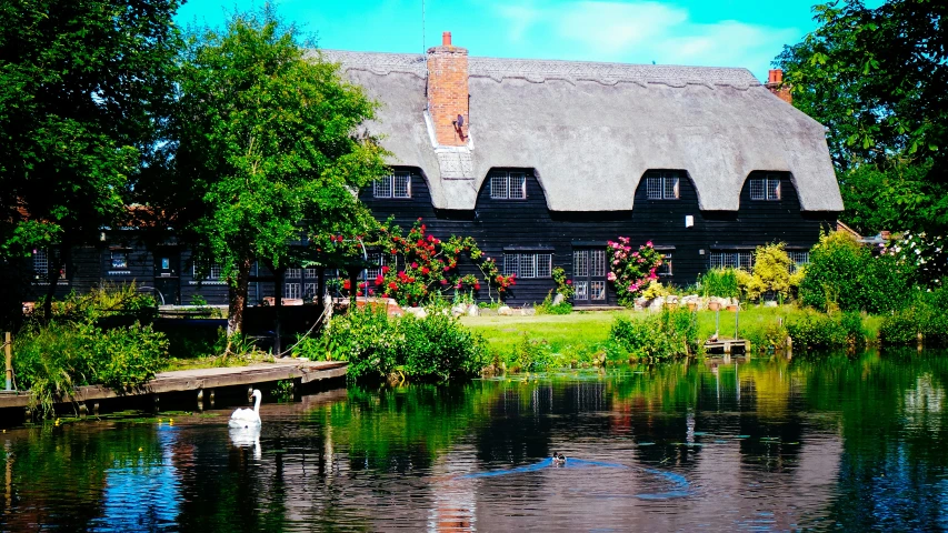 swans in front of water with large house on hill