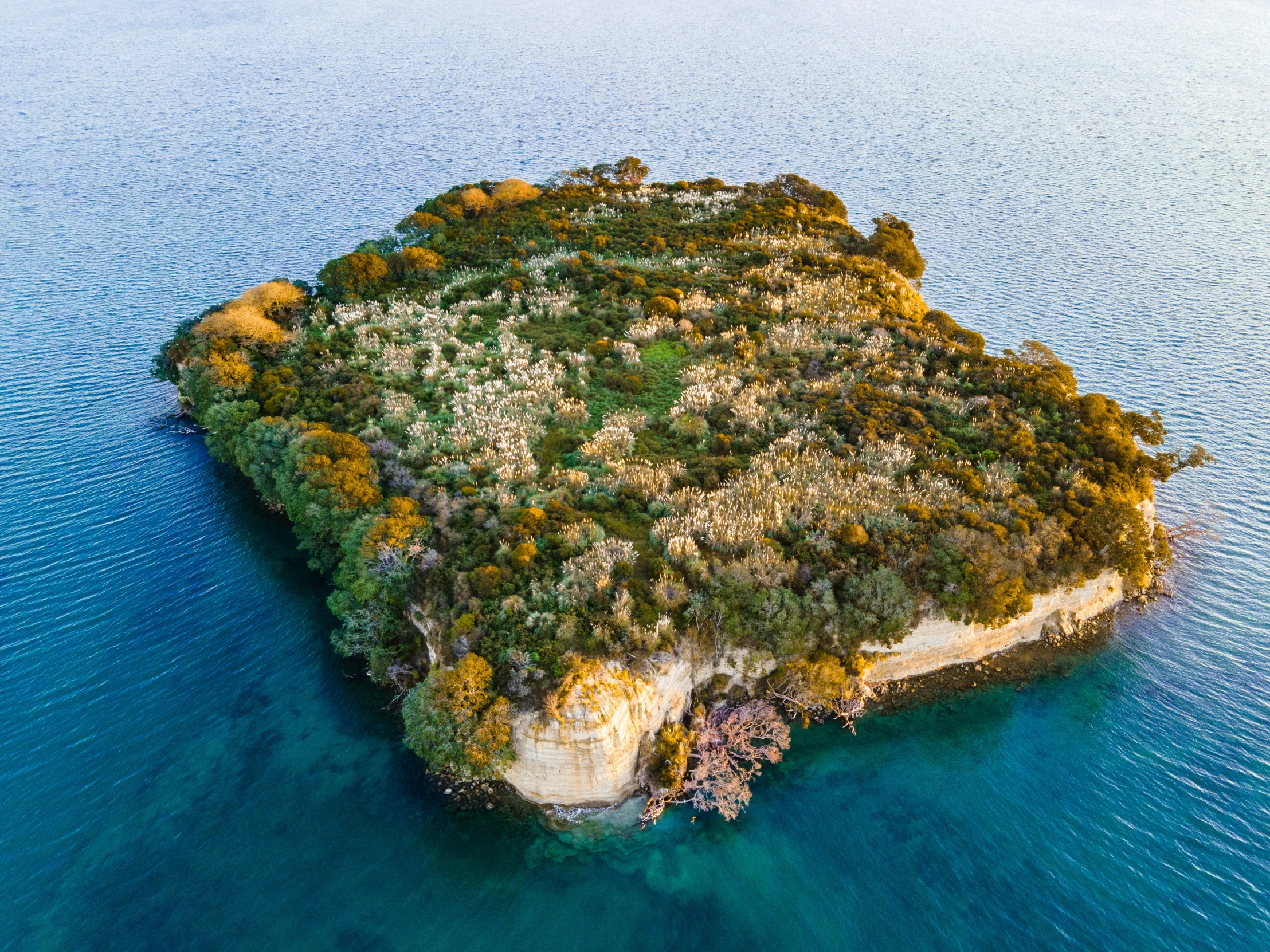 an island is seen in the middle of the ocean