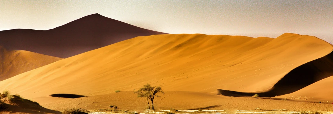 the desert with a lot of sand dunes