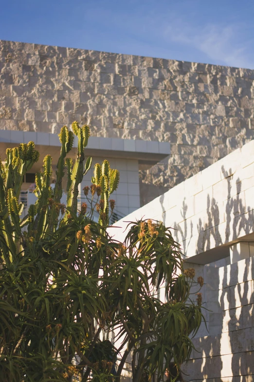 an object sitting on a ledge above a plant