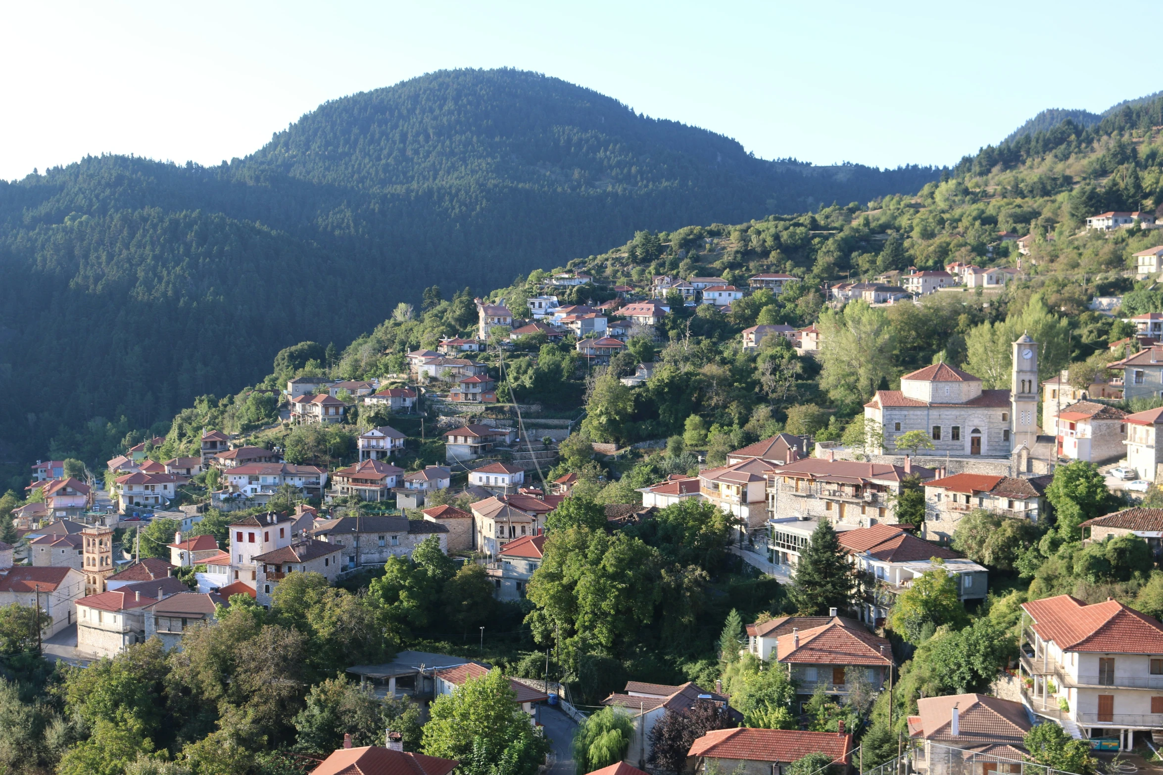 a town in the mountains with trees in front of them