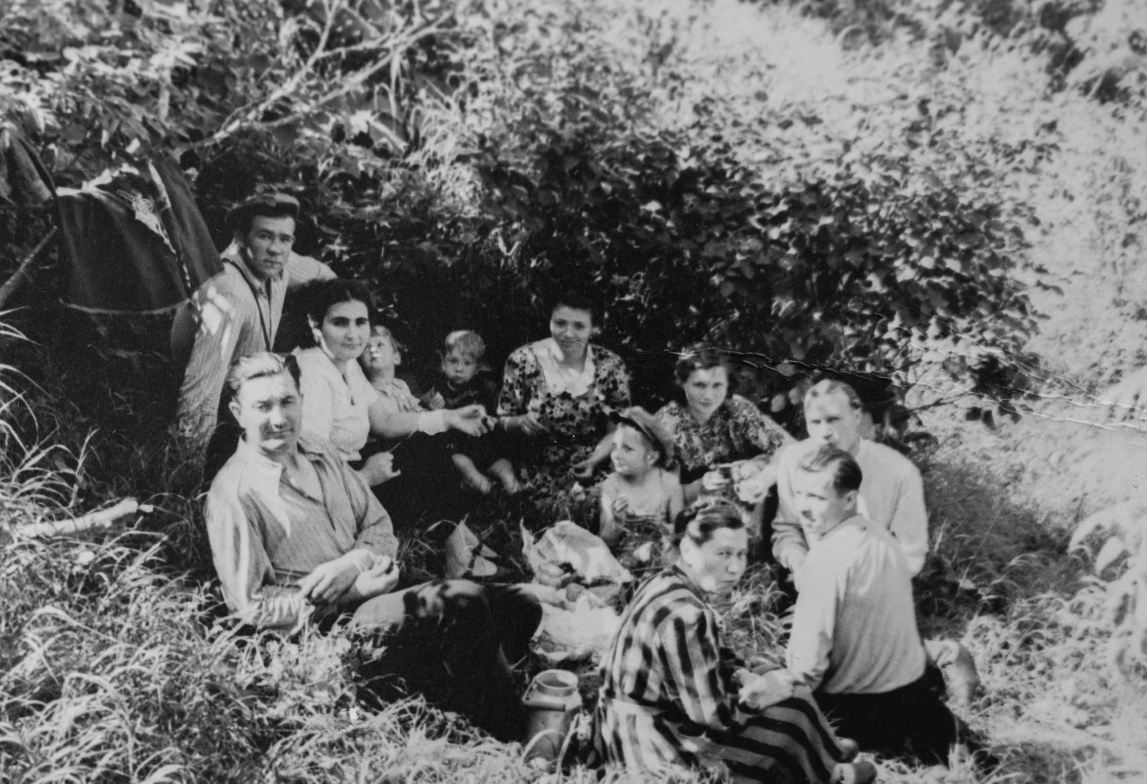 a group of people are sitting outside near some bushes