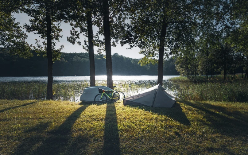 a bike leaning against a tree while sitting near water