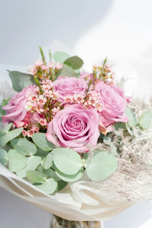 some pink flowers and leaves on a white surface