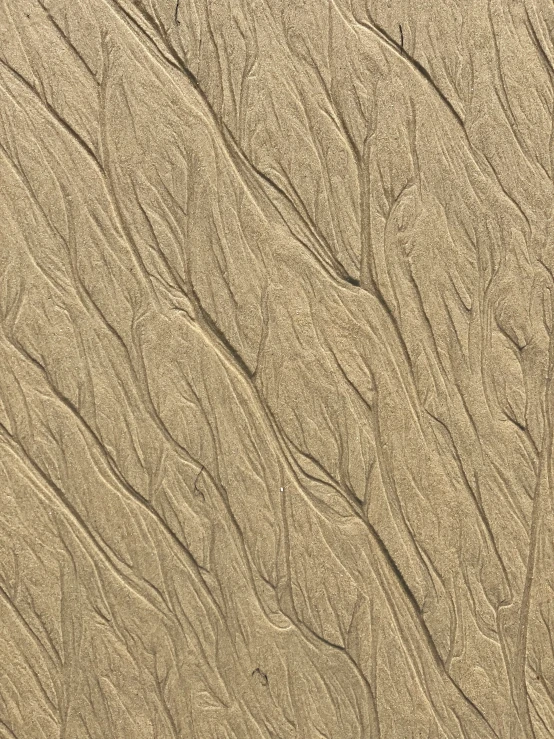 the texture of the sand is beige and brown