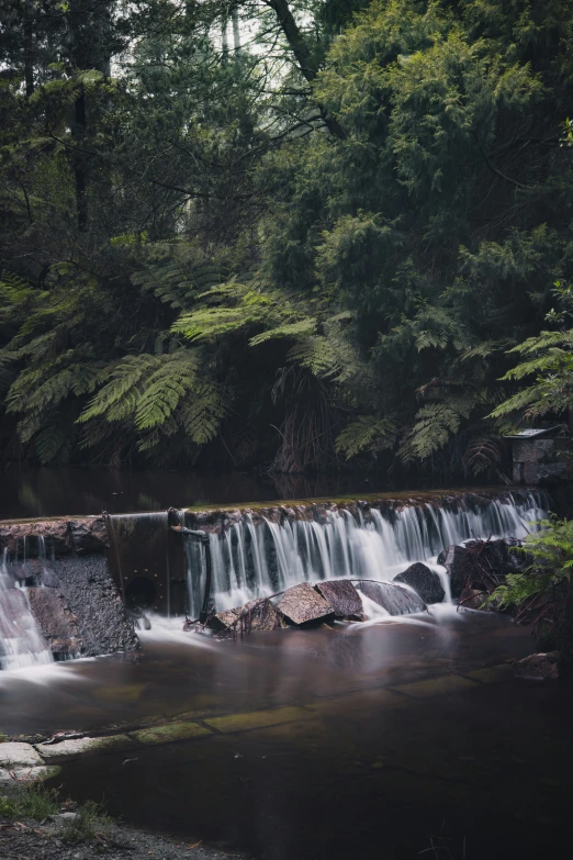 a stream that is running into a creek