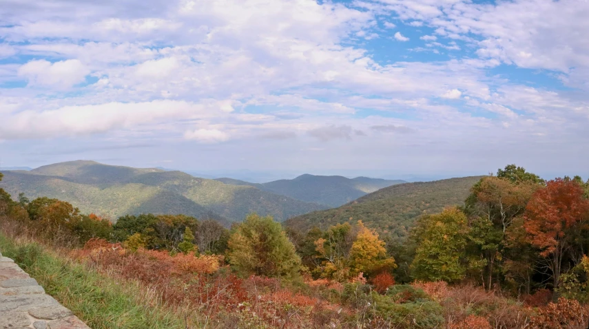 an image of a view from a lookout